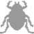 Stink Bugs
