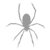 Spiders