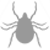 Ticks