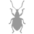Weevils